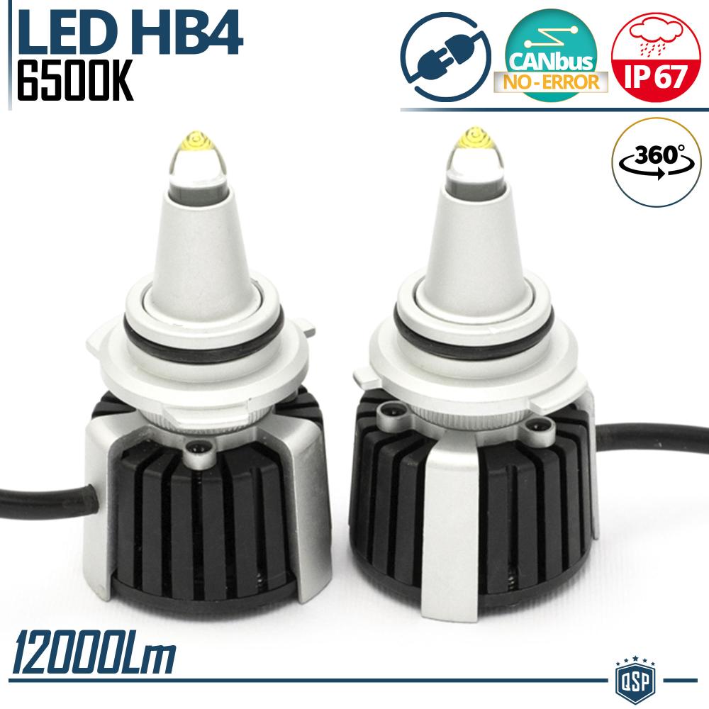 Quartz HB4 LED Bulbs Kit 360° CANBUS
