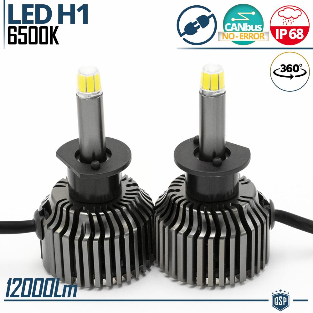 Kit LED H1 pour PHARES LENTICULAIRES | Lumière Puissante à 360° 12.000  Lumens | Conversion de HALOGÈNE H1 à LED | CANbus, Plug & Play