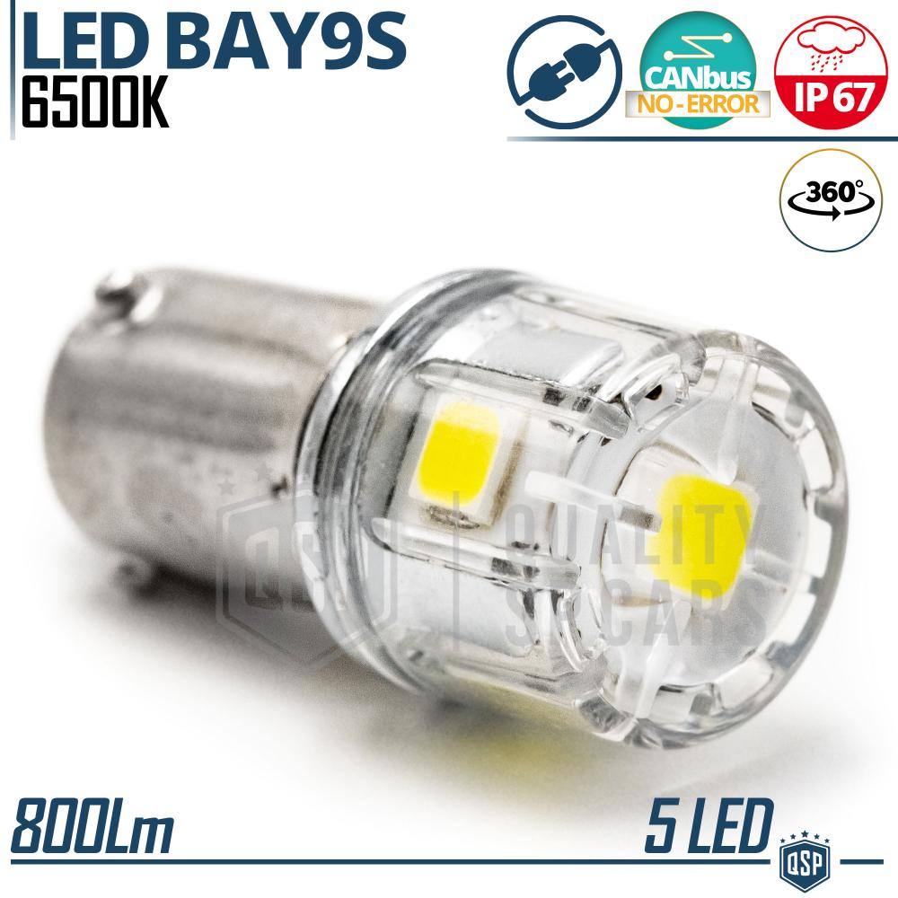1pc BAY9S H21W LED Bulb Canbus, 360° White ICE Light 6500K