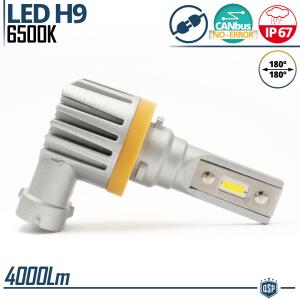 1 Full LED H9 Bulb | Powerful White Ice 6500K 4000LM | CANbus Error FREE, Plug & Play