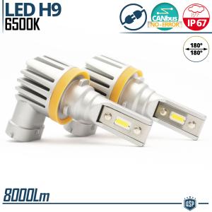 LED H9 Kit Fog Lights | Powerful White Ice 6500K 8000LM | CANbus Error FREE, Plug & Play