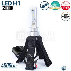 Kaufe 1 Paar Auto-LED-Nebelscheinwerfer, 6000 K, 600 lm, H1-12SMD-5050,  hochhelle Scheinwerferlampen, Fahrlicht