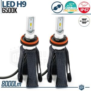 H9 Full LED Kit with ADJUSTABLE RING | 6500K 8000LM | CANbus Error FREE, Plug & Play