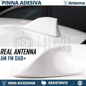 Antenna PINNA DI SQUALO Bianca PER CLASSE ML W163 | Vera Ricezione RADIO AM-FM-DAB+