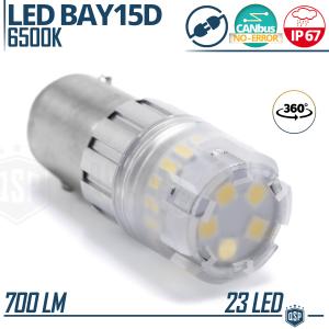1 Lampadina LED P21/5W - BAY15D CANbus | Luce Intensa Bianco FREDDO 6500K | 700 LUMEN 